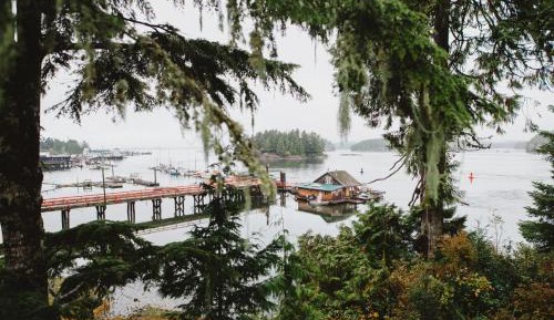 Cabin Suite 2 - Not Pet Friendly 