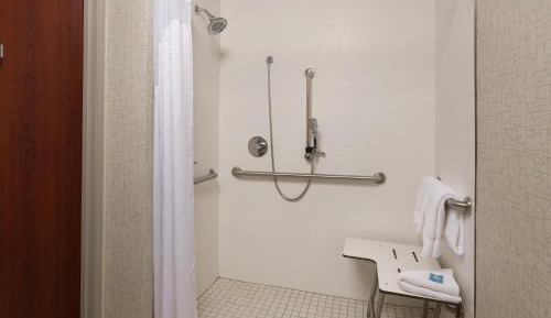 King Room with Roll-In Shower - Disability Access