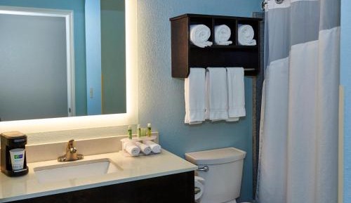 One-Bedroom Suite with Sofa Bed