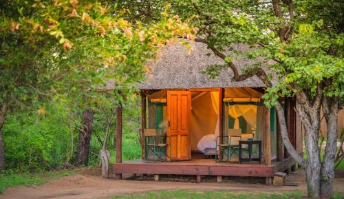 Safari Twin/Double Tent with Private shower