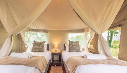 Tent