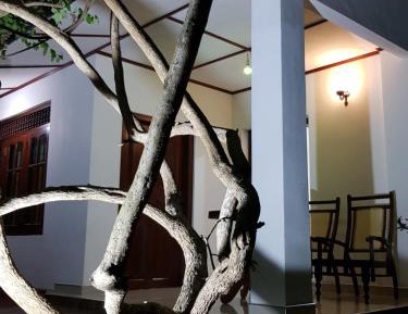 Villa with Garden View
