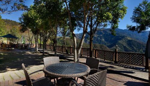 Purple Nature View Duplex Wooden Bungalow