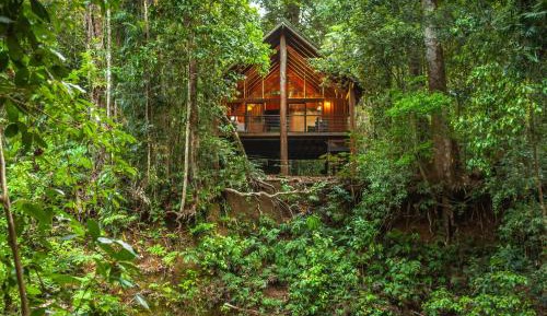 Two-Bedroom Treehouse