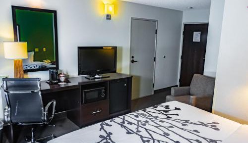 King Room - Non-Smoking