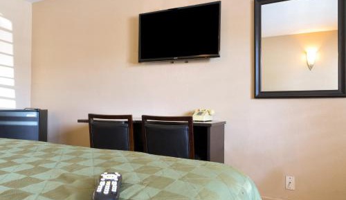 Large Single Room