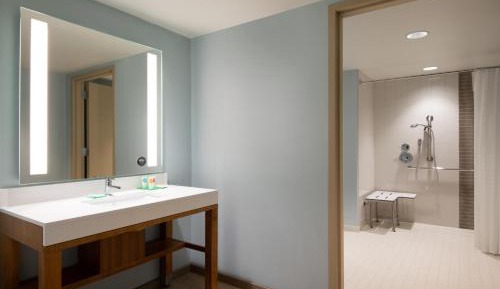 King Room with Sofa Bed and Roll-In Shower - Disability Access