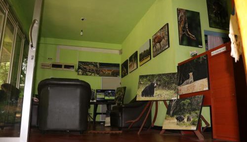 6-Bed Mixed Dormitory Room