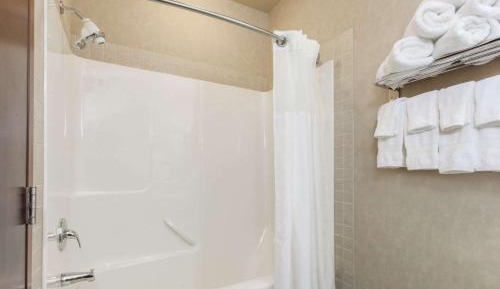 Deluxe King Suite