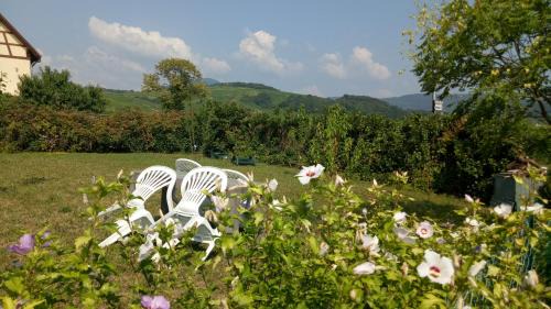 Apartment with Garden View