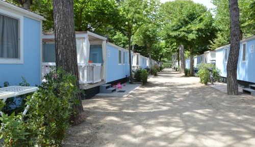 Mobile Home ( three bedroom)