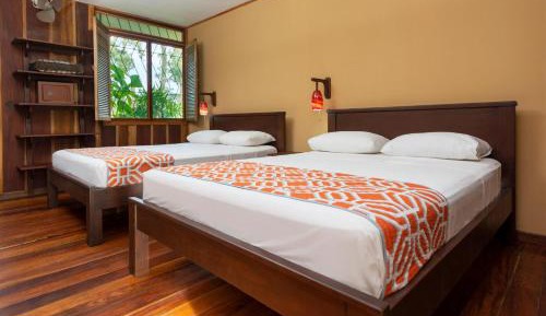 Standard Room + Tours + Transfers In/Out San Jose