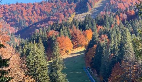Apartment with Mountain View - Third Floor