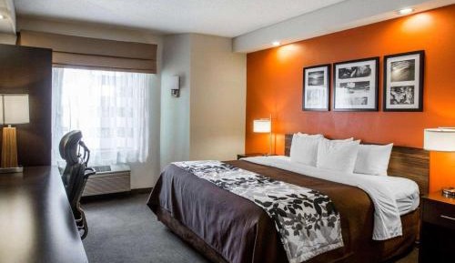 Queen Room - Disability Access/Non-Smoking