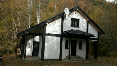 Suite with Terrace