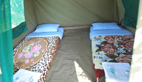 Tent