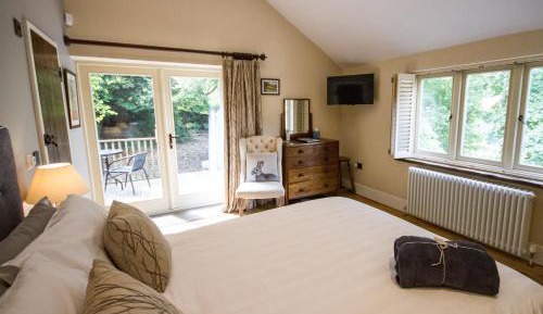 Double Room with Terrace (Pet-friendly)