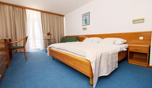 Superior Single Room with Sea View