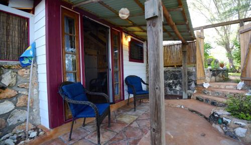 Studio with Garden View