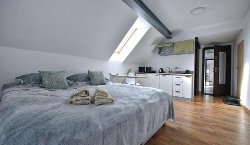 Studio Apartment