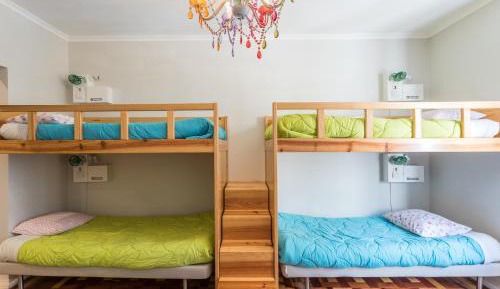 Bed in 4-Bed Female Dormitory Room