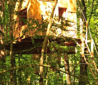Tree House