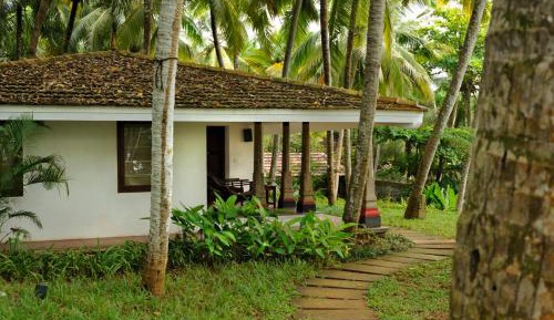 Banyan Tree Bungalow