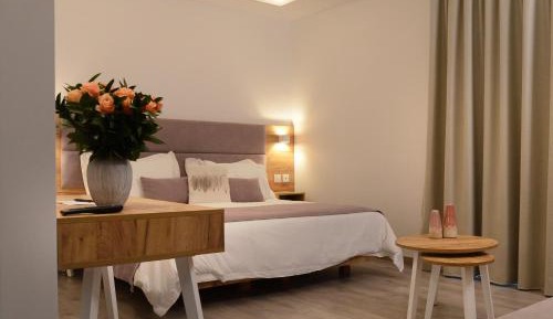 Superior Deluxe Double or Twin Room 