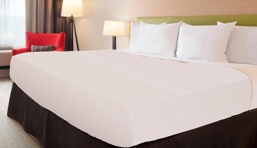 One-Bedroom King Suite with Sofa Bed
