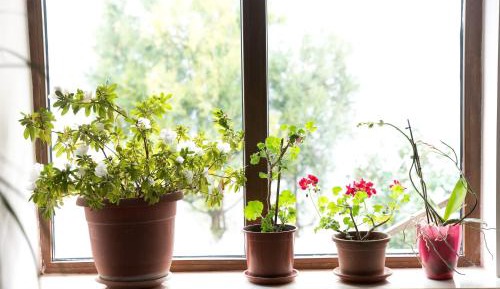 Two-Bedroom Deluxe Apartment with Balcony