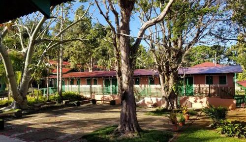 Queen Room - Disability Access - Borbon