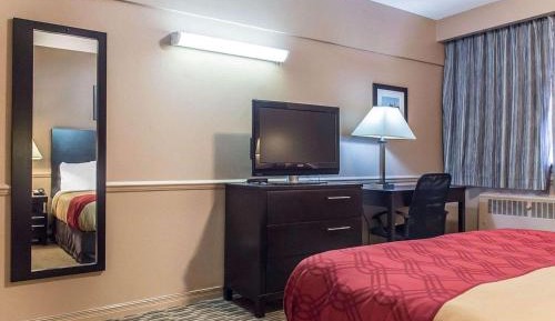Deluxe Queen Room - Non-Smoking