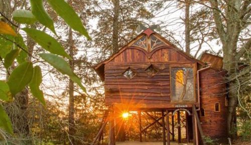 Pegasus Treehouse