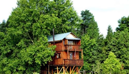 Faraway Treehouse