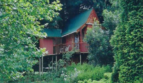 Bottle Treehouse