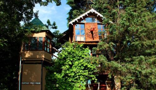 Fantasy Treehouse