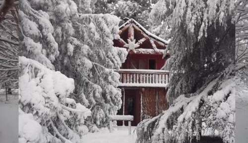 Planequarium Treehouse