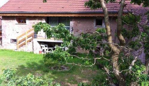 Apartment with Garden View