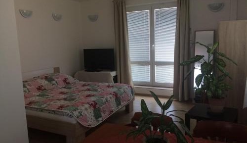 Apartment with Shower