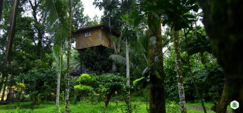 Tree House