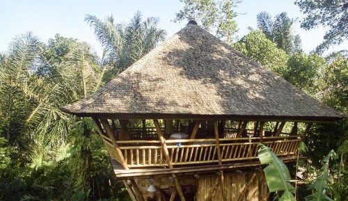 Harmony Tree House with Mountain View