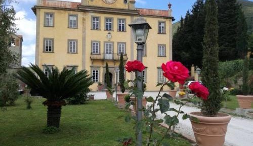 Suite with Mountain View
