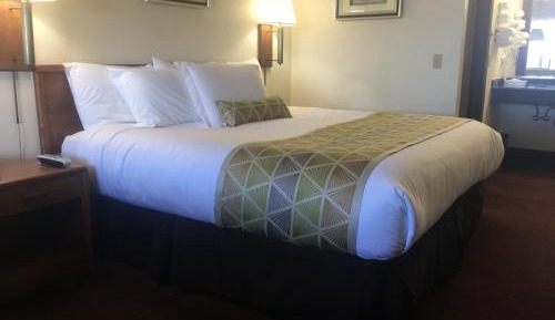 King Room - No Pets