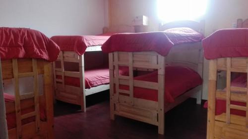 Bed in 8-Bed Mixed Dormitory Room