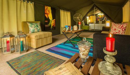 Family glamping suite bordering Udawalawe with a guided bush walk