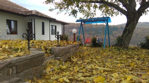 Double Room with Park View