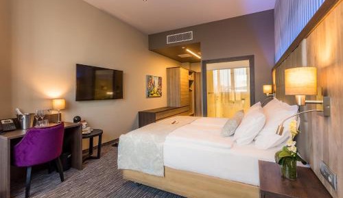 Executive Double or Twin Room