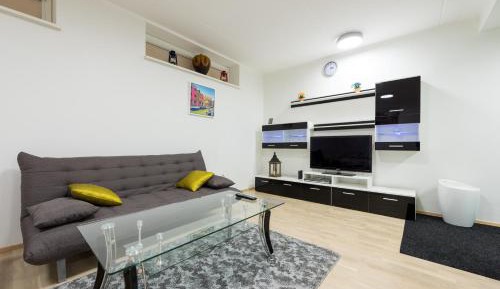 Apartment in Basement