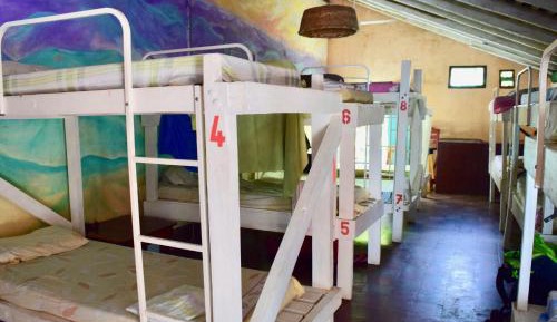 Bunk Bed in Mixed Dormitory Room
