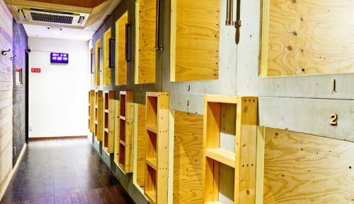 Bunk Bed in Mixed Dormitory Room